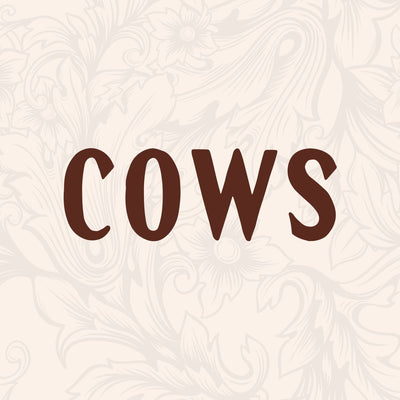 Cows