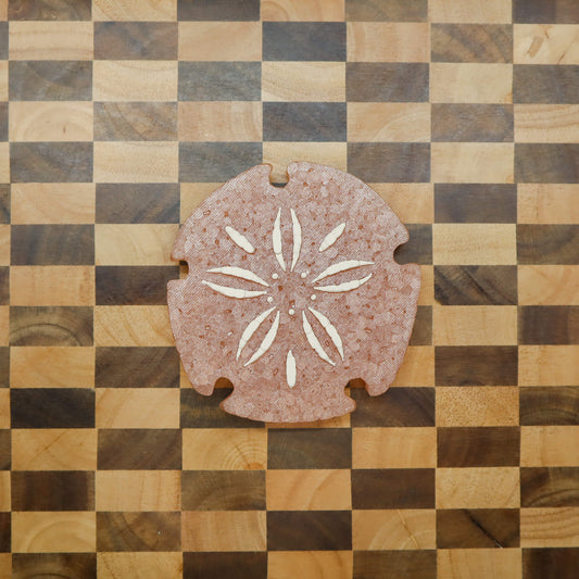 Sand Dollar